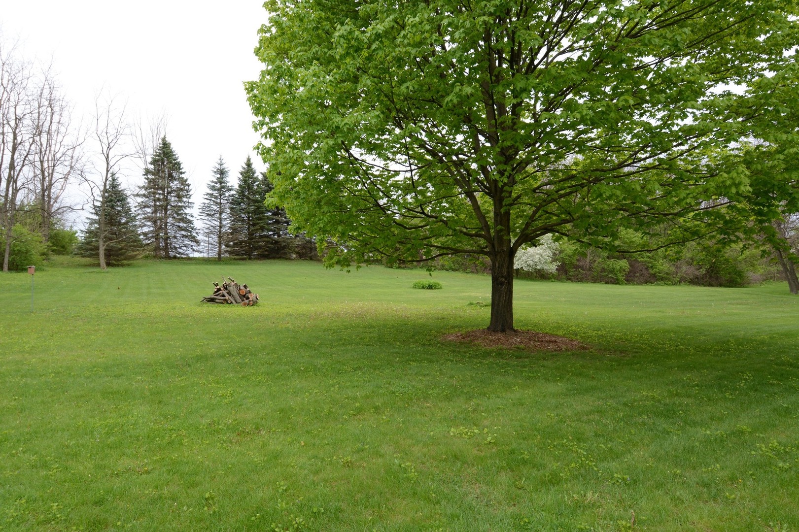 37W271 Weld Road Elgin, IL 60124 - Photo 33 of 34 a view of a trees with a big yard