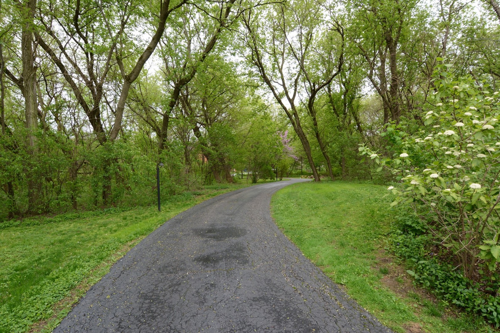 37W271 Weld Road Elgin, IL 60124 - Photo 34 of 34 a view of a street with a trees