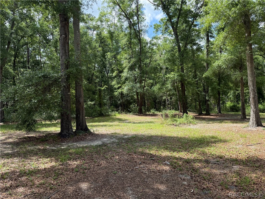 20275 33rd Road Wellborn, FL 32094 - Photo 52 of 57