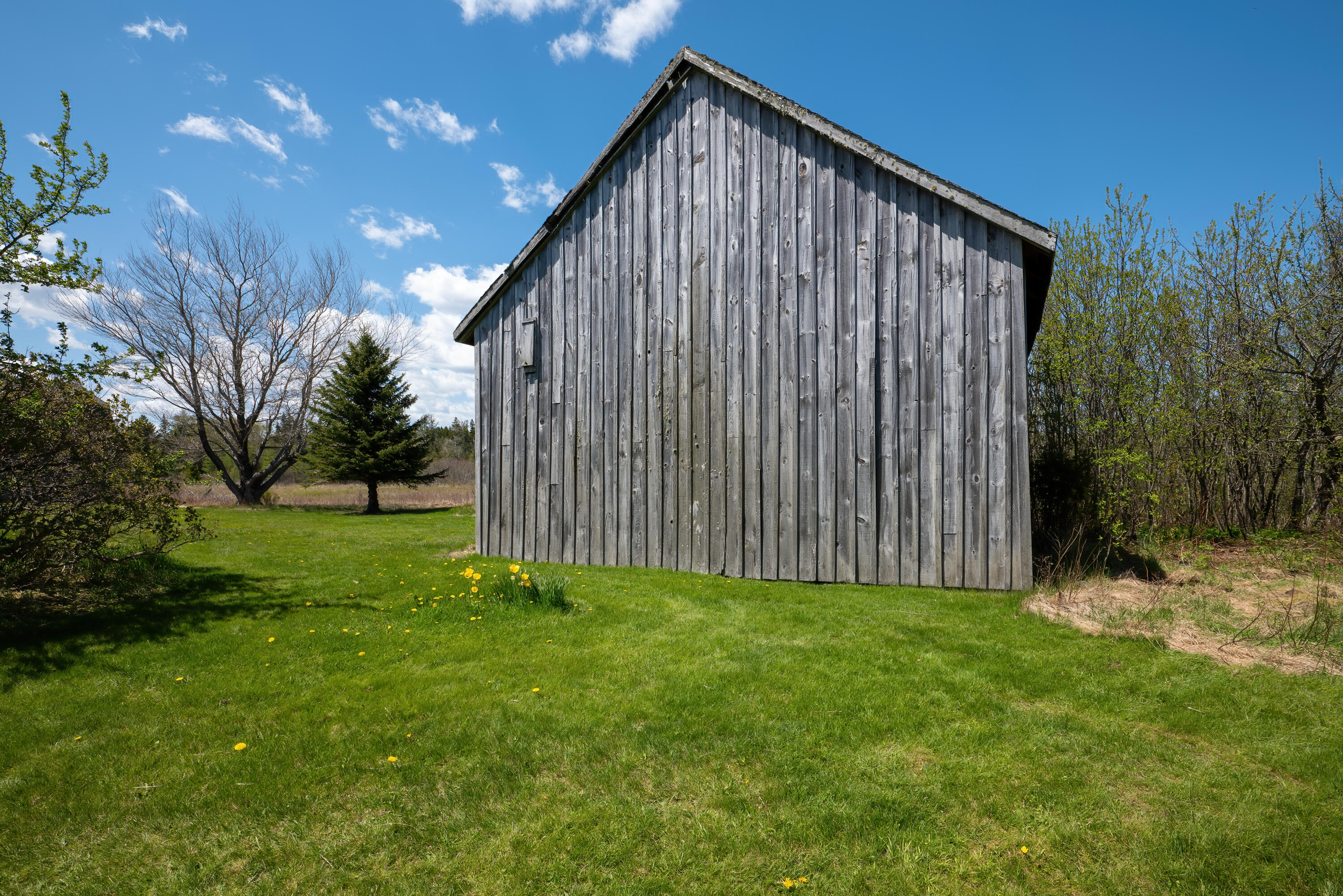 1116 Cutler Road Whiting, ME 04691 - Photo 11 of 82 1116 Cutler HiRes (43)
