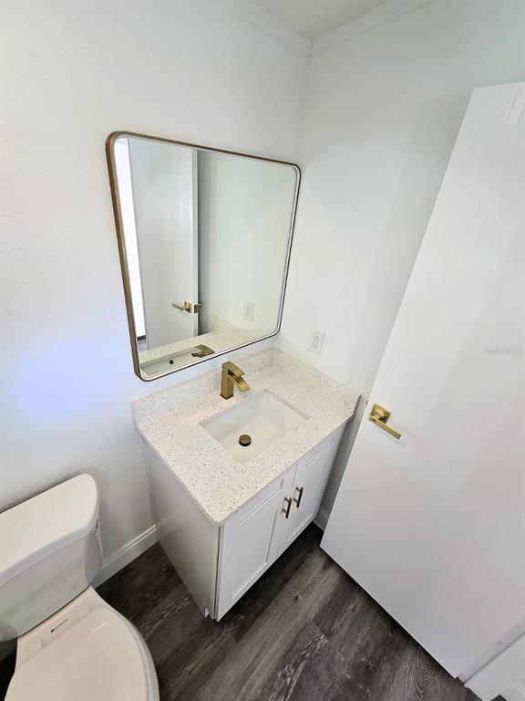 4928 Rollinglen Loop East Lakeland, FL 33810 - Photo 15 of 44 a bathroom with a toilet a sink and mirror