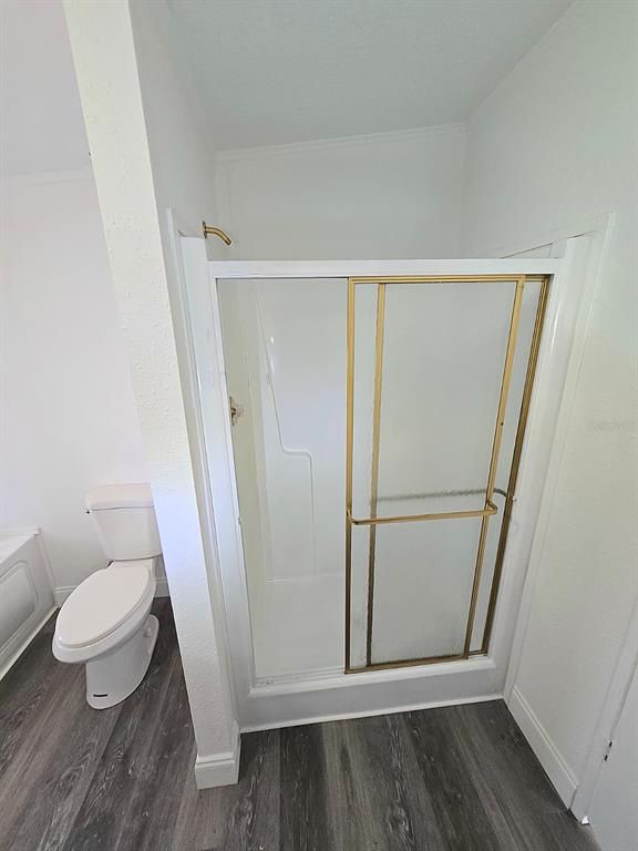 4928 Rollinglen Loop East Lakeland, FL 33810 - Photo 40 of 44 a bathroom with a sink and a toilet