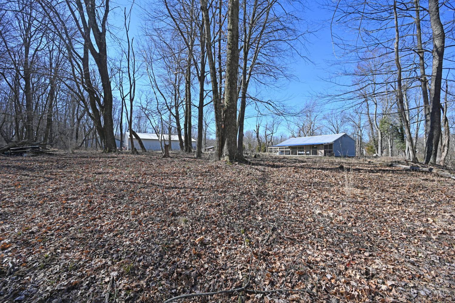 2891 Mt Olive Point Isabel Road Bethel, OH 45106 - Photo 18 of 27 Gallery Image 18