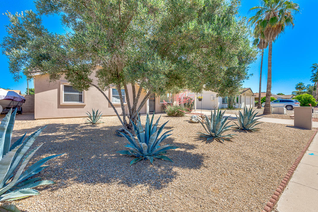 3452 East Nisbet Road Phoenix, AZ 85032 - Photo 2 of 31 02-Nisbet