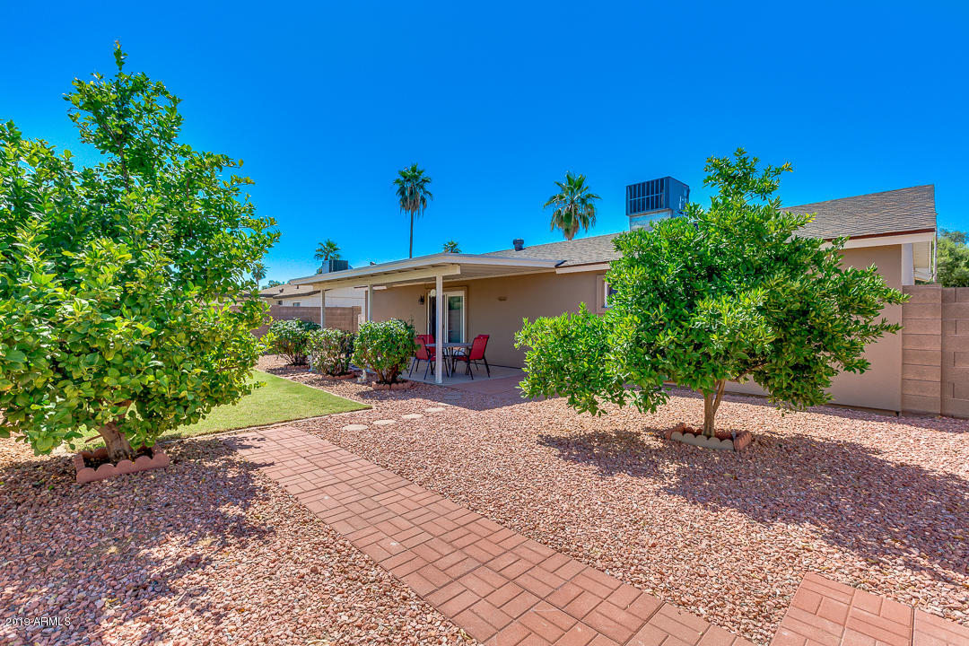 3452 East Nisbet Road Phoenix, AZ 85032 - Photo 27 of 31 a view of a patio with potted plants and a large tree