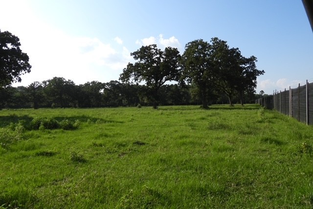 28322 Mellman Road Hempstead, TX 77445 - Photo 42 of 50