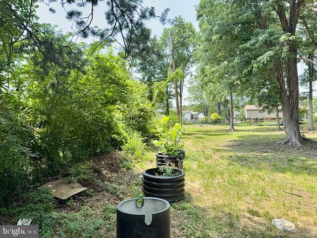 a garden view with a fountain