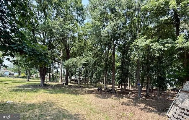 a view of a tree in the middle of a yard