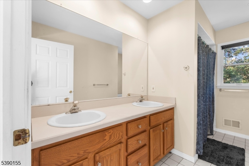 5 Sky View Garden Road Lebanon, NJ 08833 - Photo 29 of 42 a bathroom with a sink and a mirror