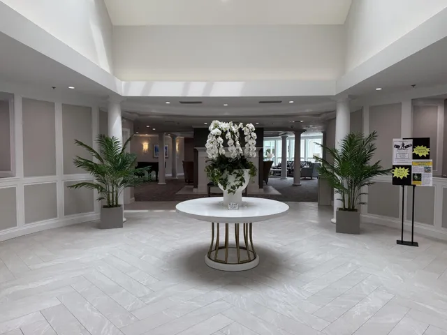 a living room with furniture a potted plant and a large window