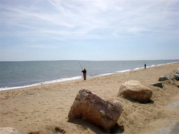 a view of an outdoor space with a patio