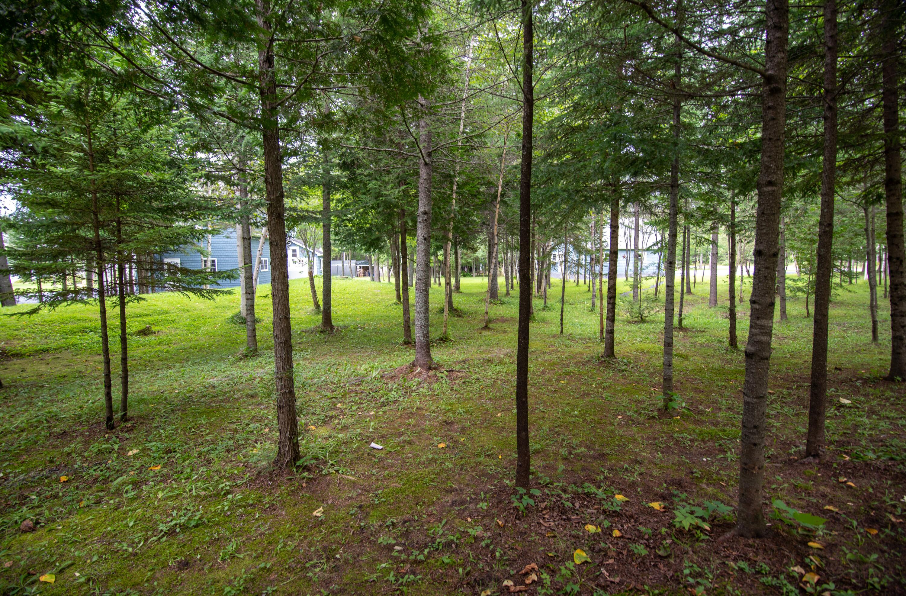 866 Baie Creuse Road St. David, ME 04773 - Photo 22 of 106 DSC_0375
