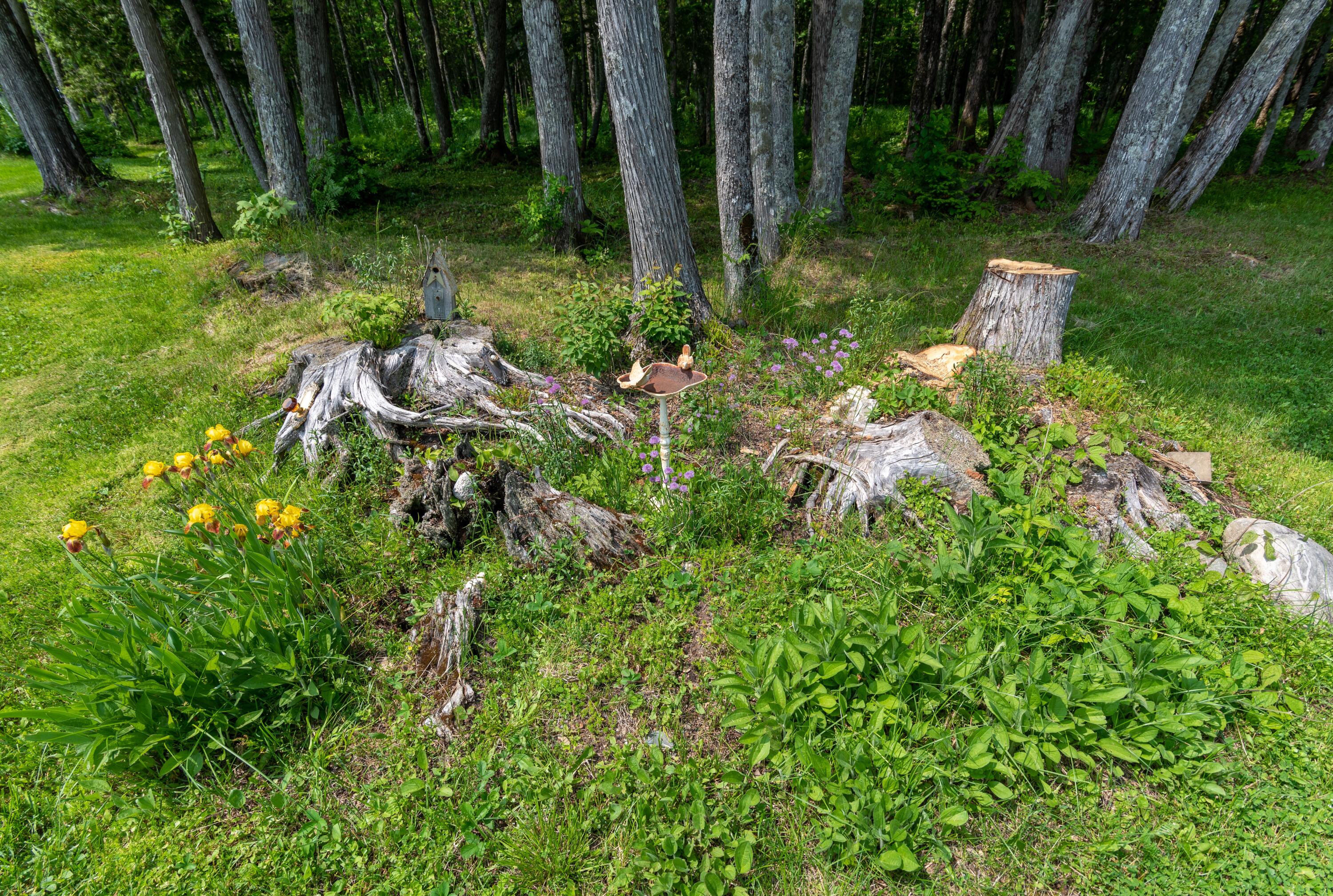 866 Baie Creuse Road St. David, ME 04773 - Photo 39 of 106 DSC_7339
