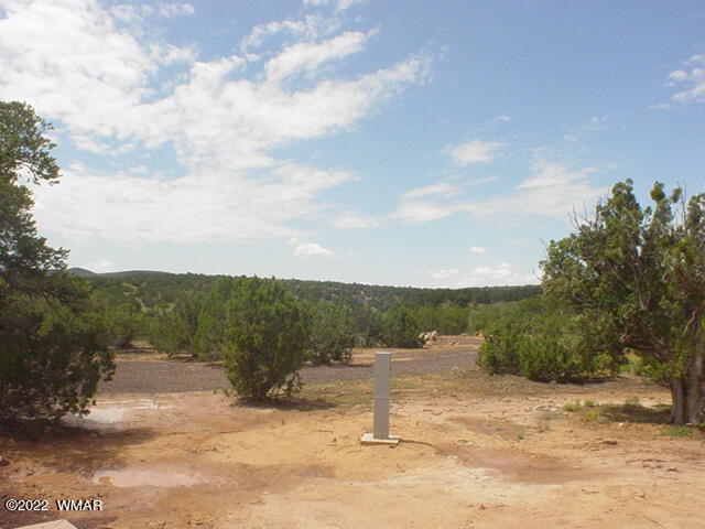 1 B N8689 Concho, AZ 85924 - Photo 1 of 1