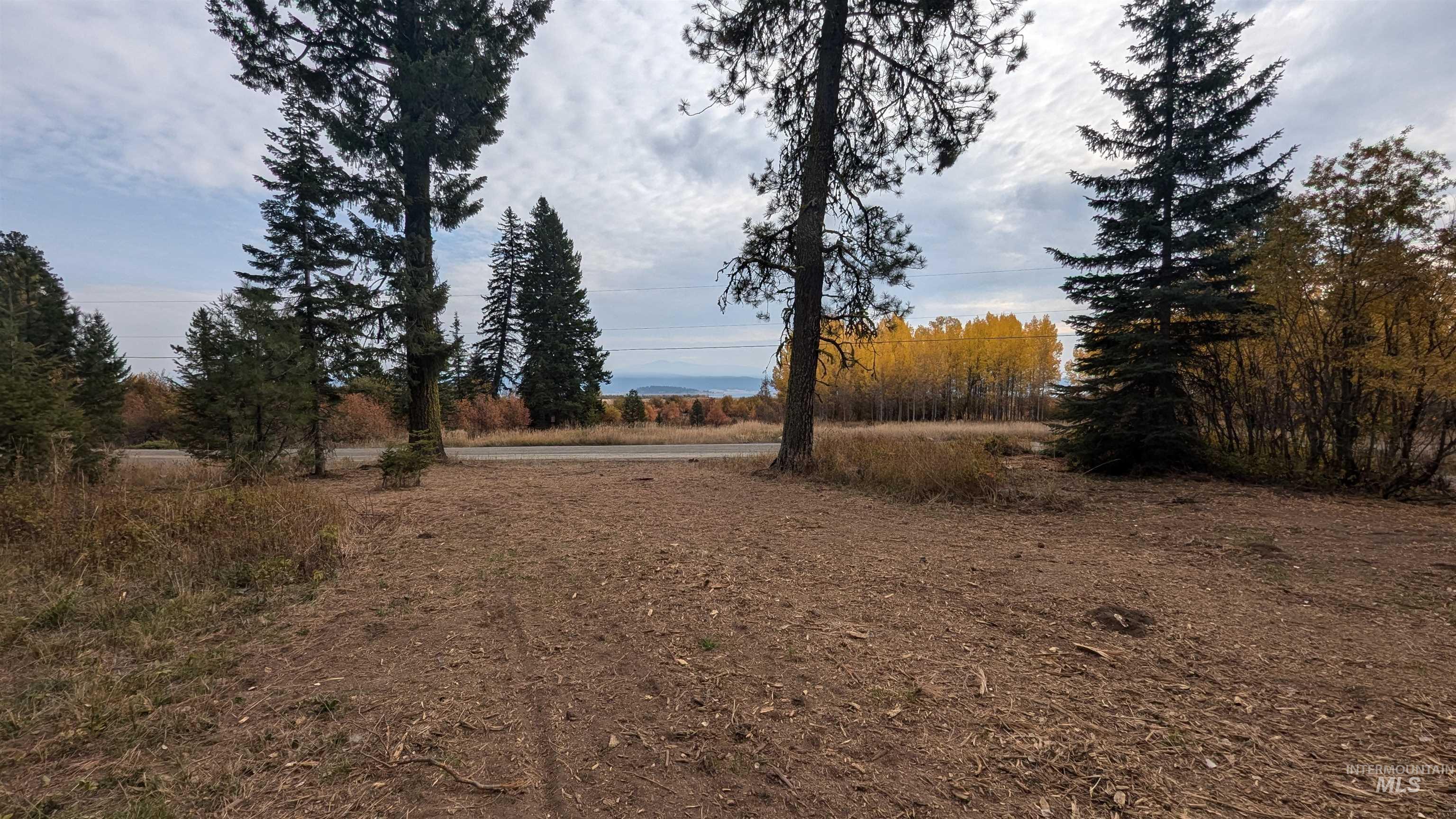 1608 Bear Trail Loop Cascade, ID 83611 - Photo 8 of 12