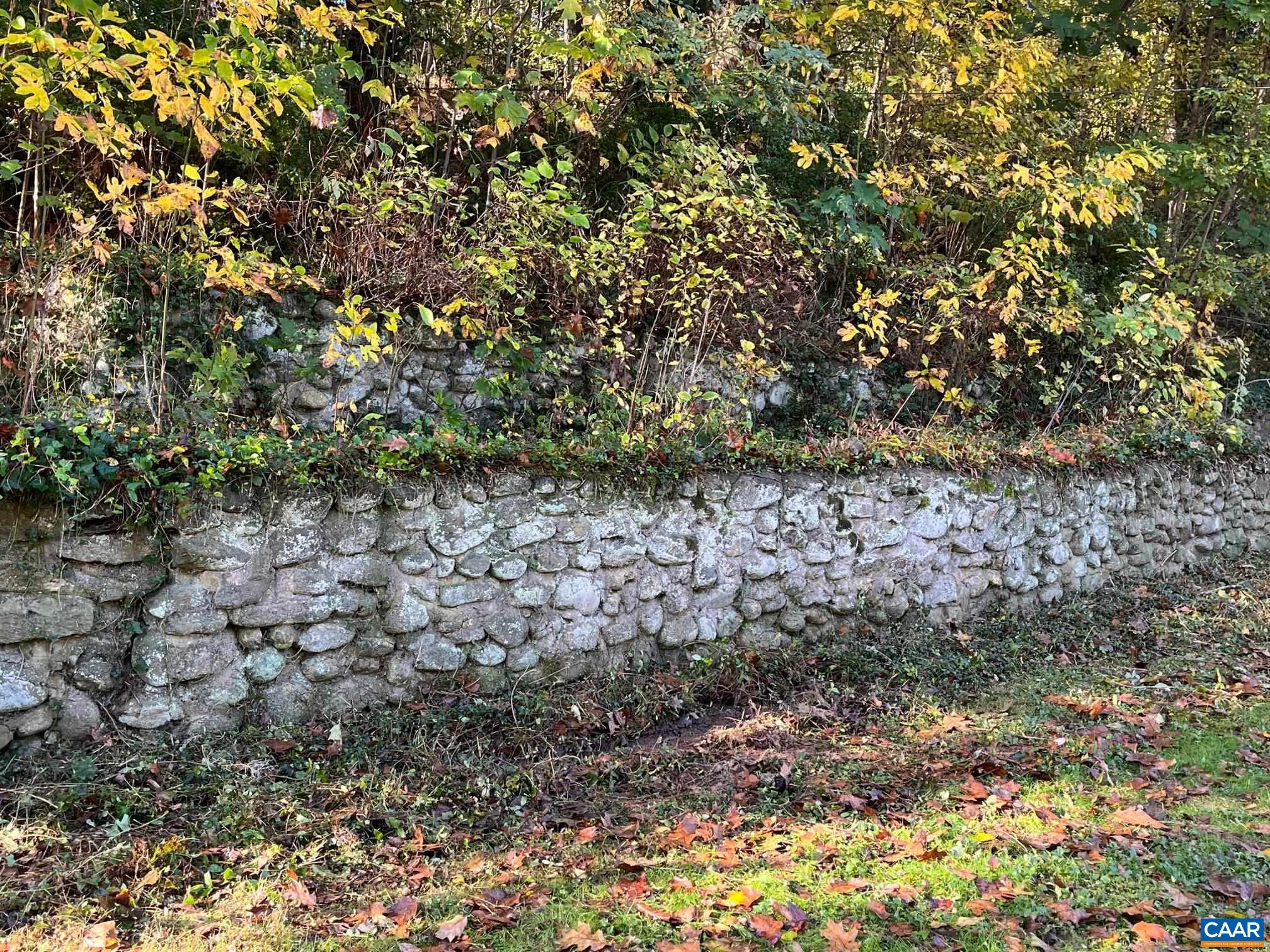 37 Pharsalia Road Roseland, VA 22967 - Photo 21 of 59 a view of a dry yard