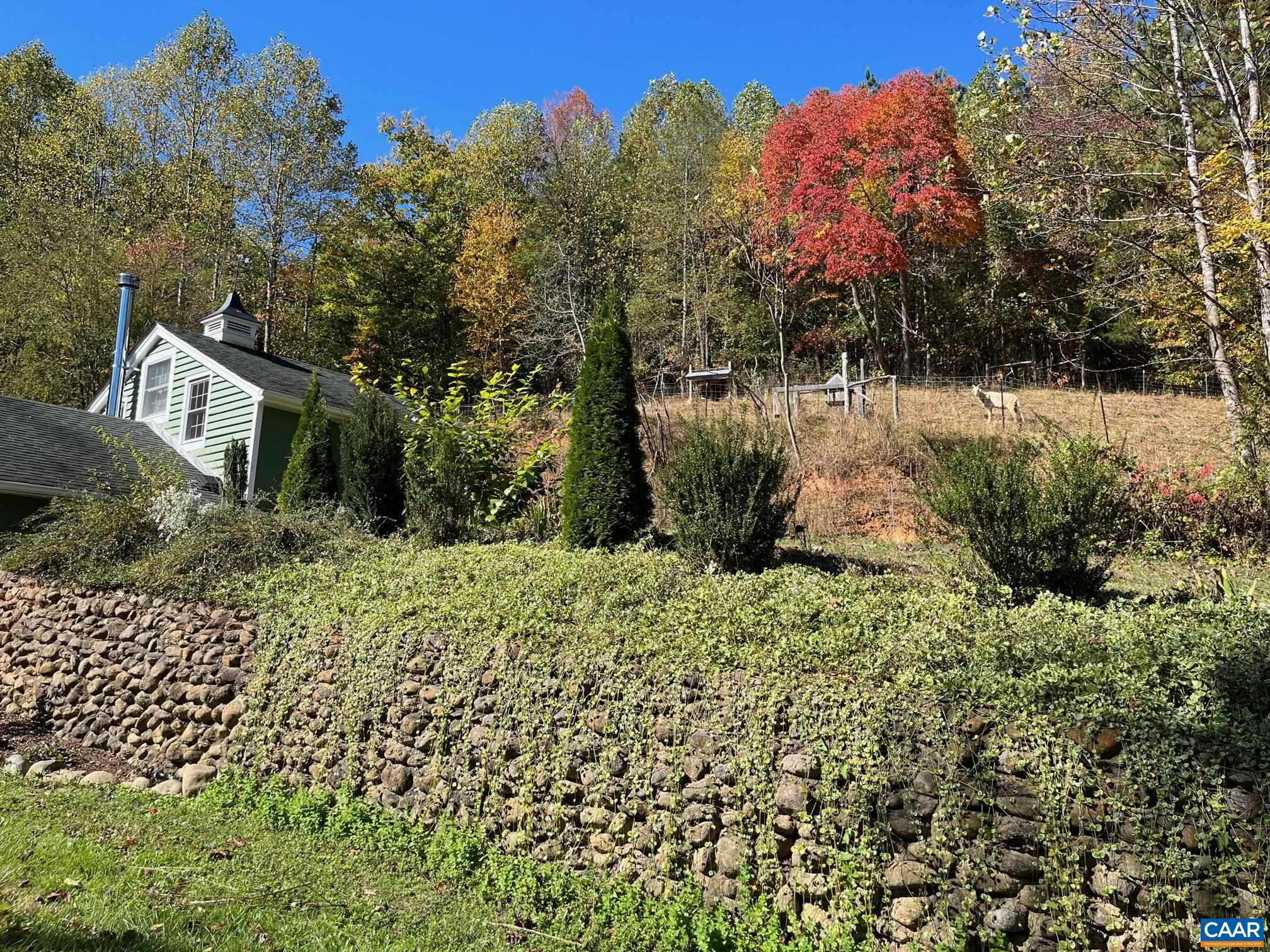 37 Pharsalia Road Roseland, VA 22967 - Photo 41 of 59 a view of a garden with a house