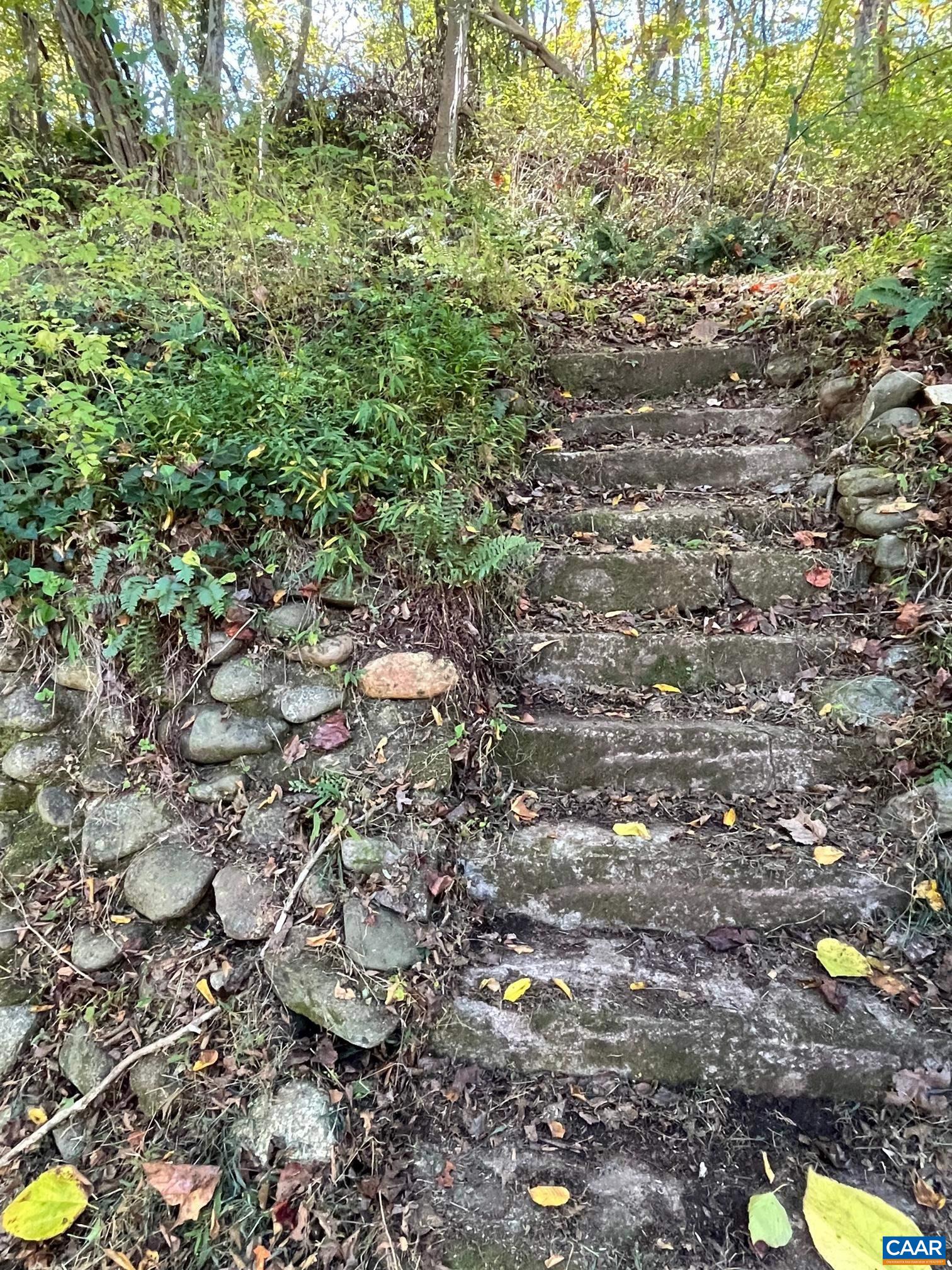 37 Pharsalia Road Roseland, VA 22967 - Photo 56 of 59