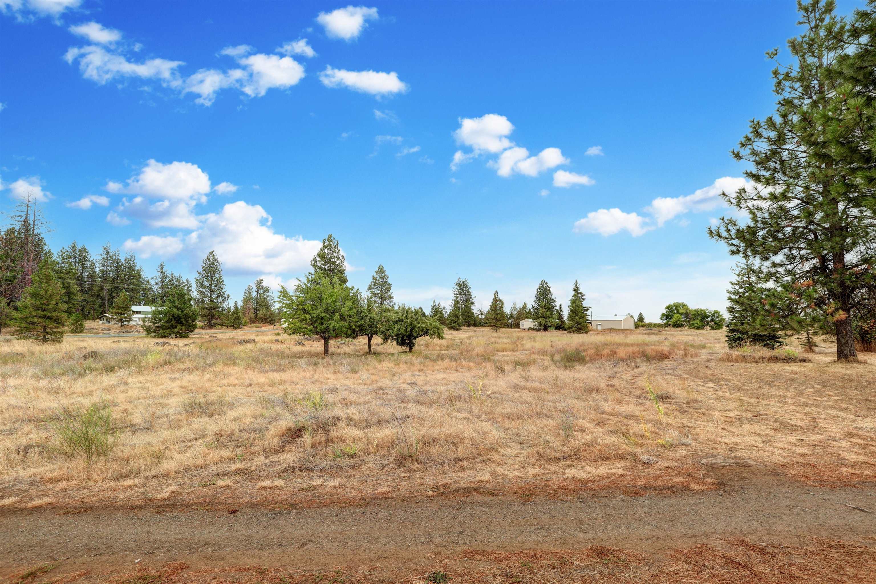 16402 South Carstens Road Edwall, WA 99008 - Photo 45 of 50
