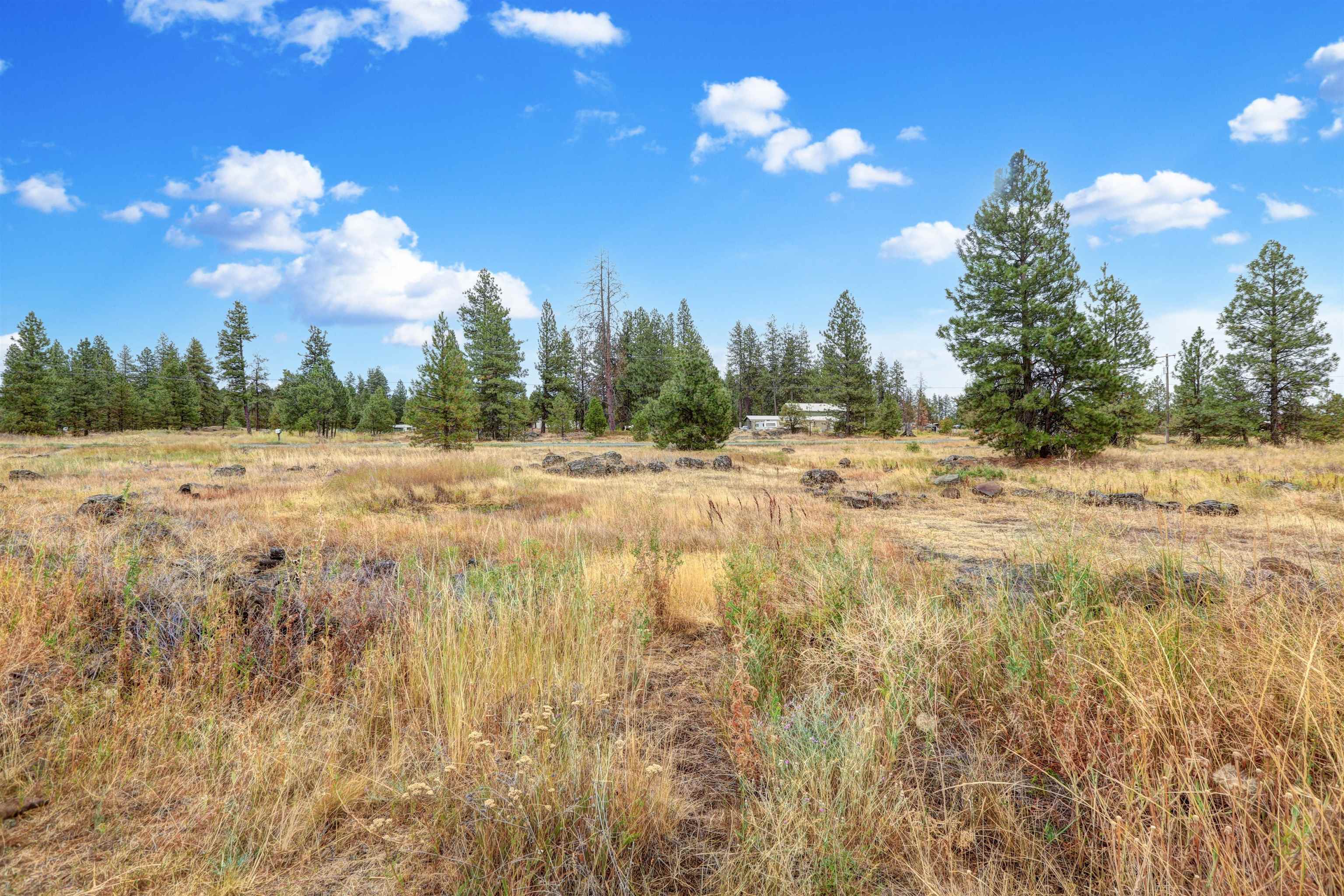 16402 South Carstens Road Edwall, WA 99008 - Photo 46 of 50