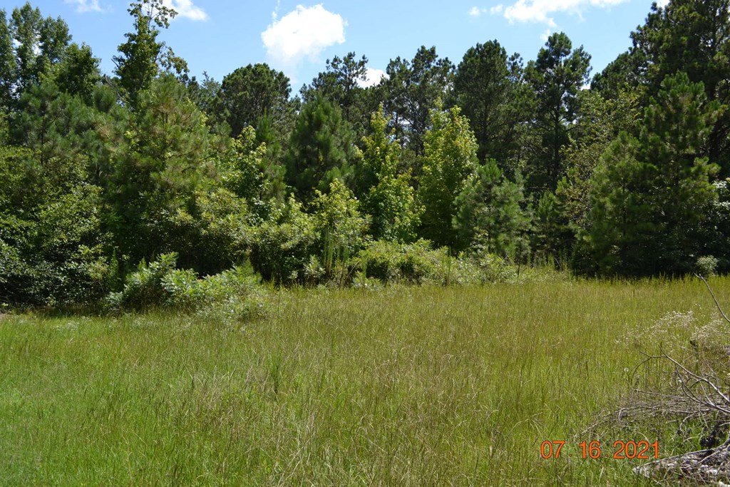 45 Hancock Road Phenix City, AL 36869 - Photo 40 of 48 Gallery Image 40