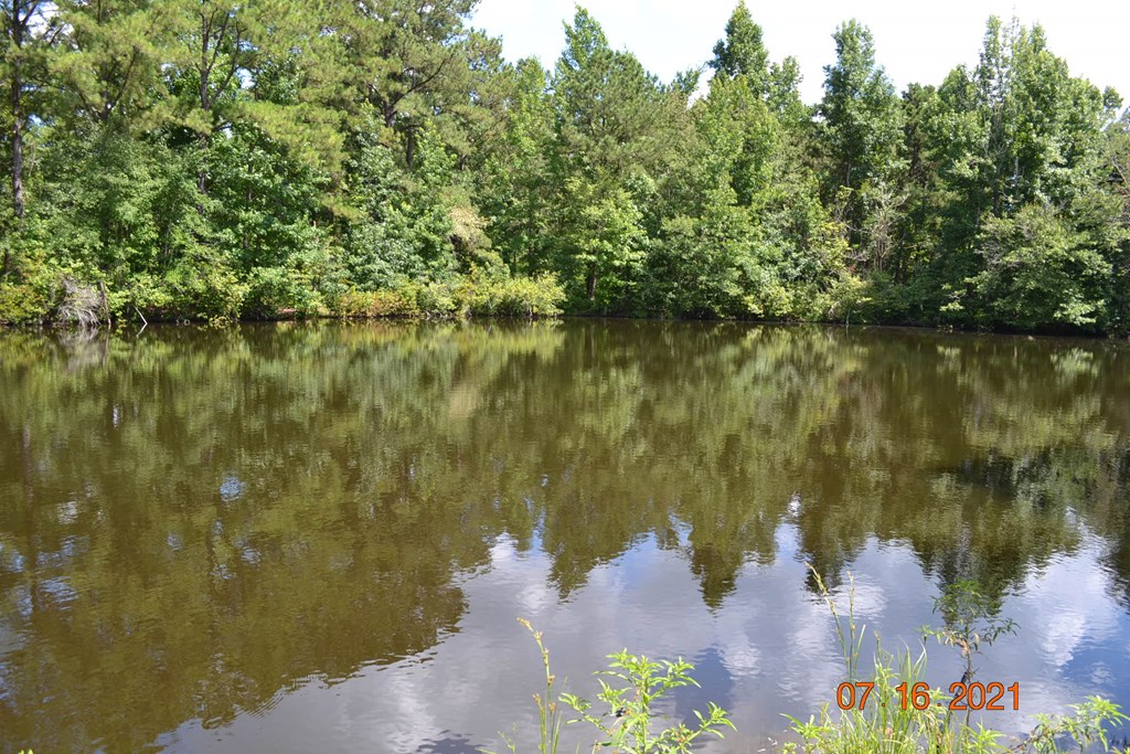 45 Hancock Road Phenix City, AL 36869 - Photo 45 of 48 Gallery Image 45