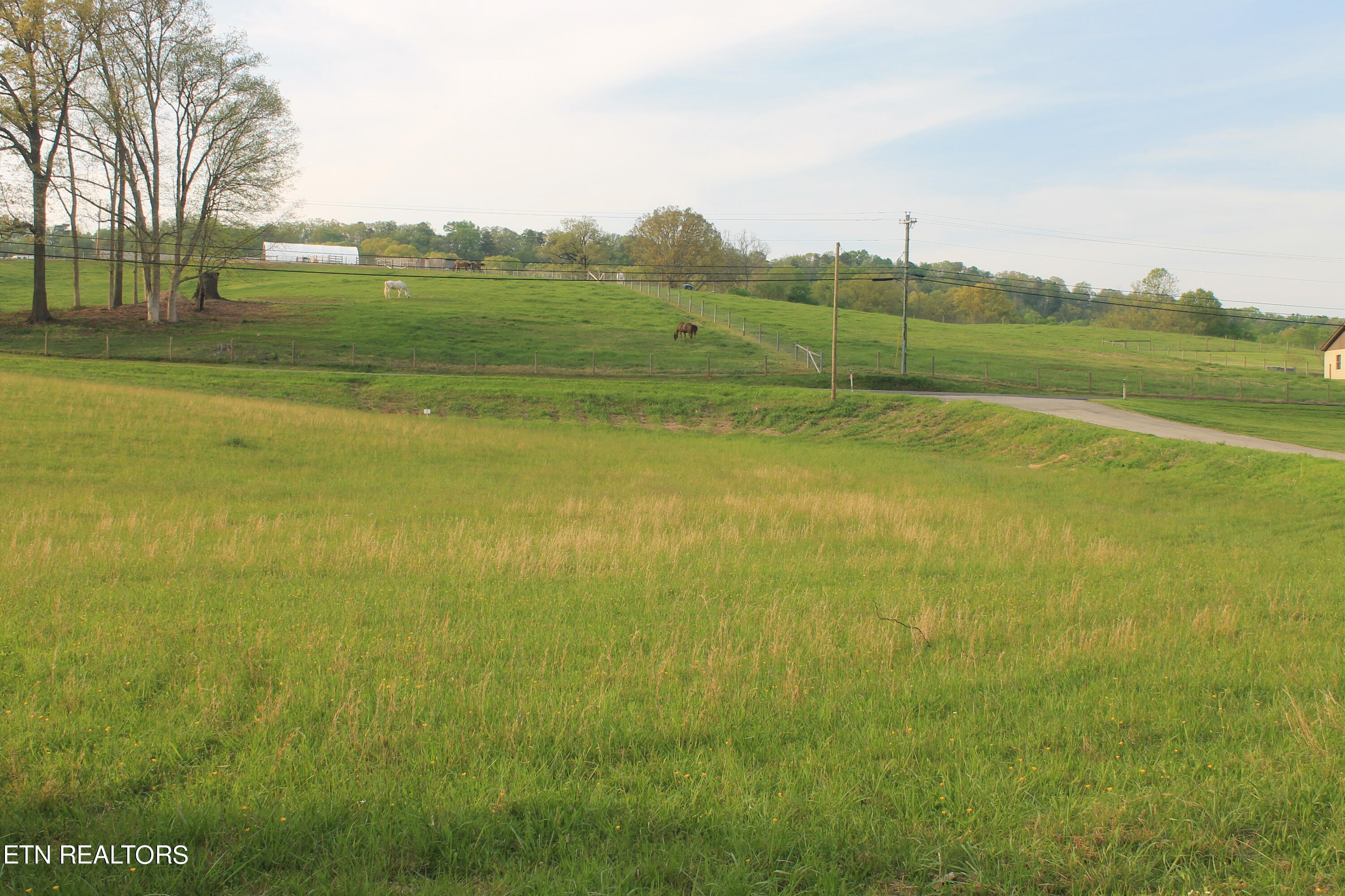 Lot 2 Roddy Branch Road Rockford, TN 37853 - Photo 5 of 14 IMG_1383