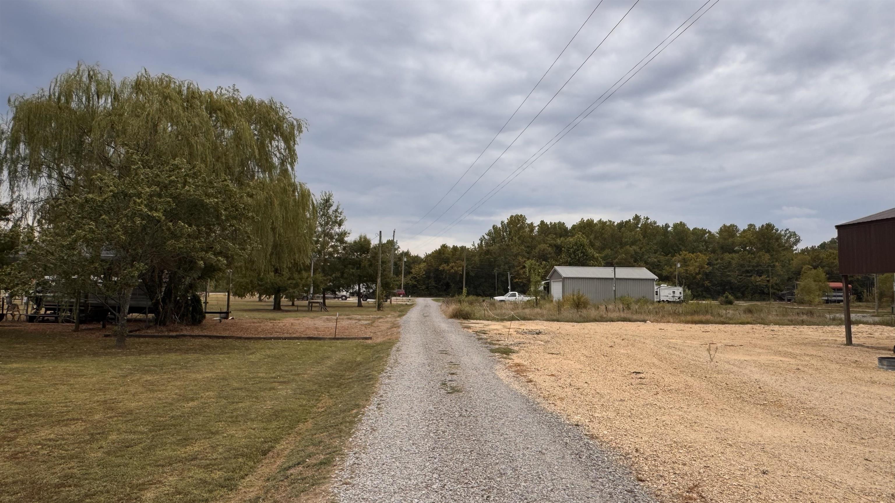 95 Ali Grace Lane Adamsville, TN 38310 - Photo 7 of 13 View of road