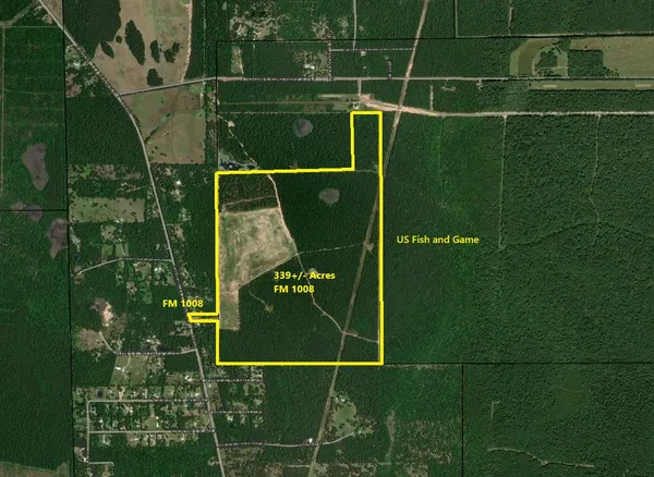 a close up of a plant