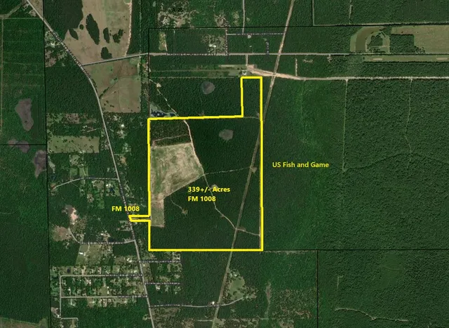 a close up of a plant