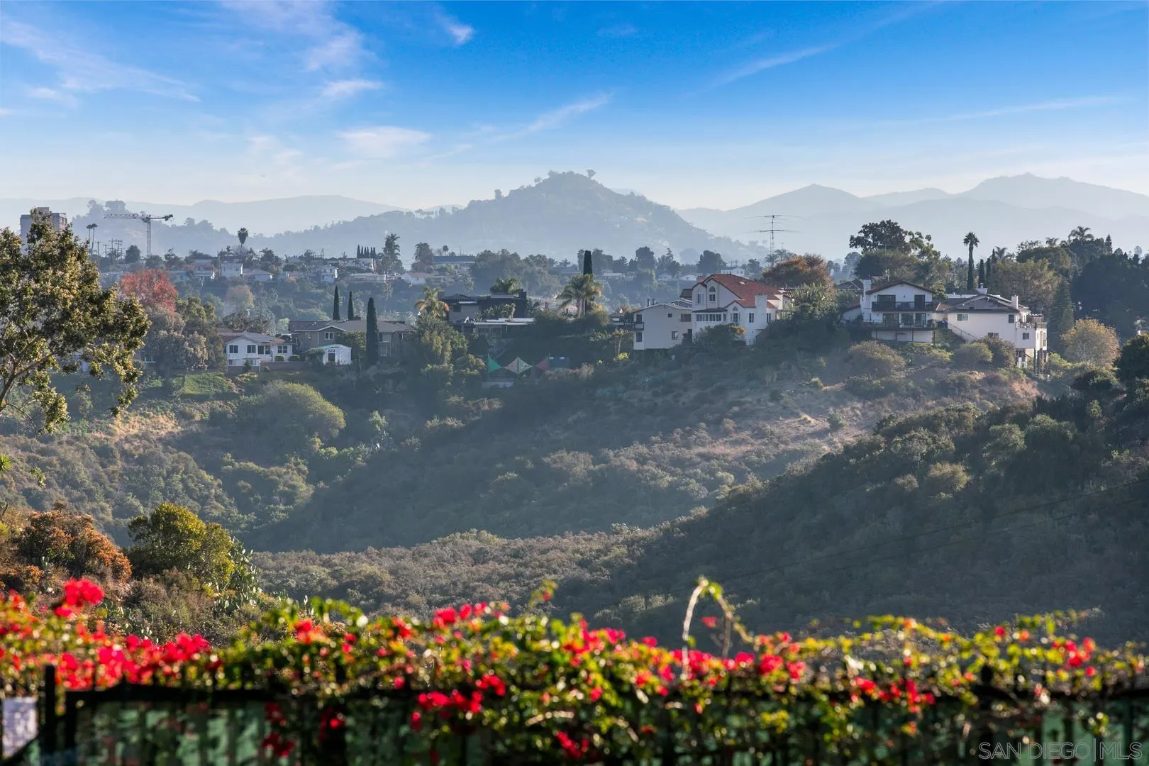 4195 Rochester Road San Diego, CA 92116 - Photo 15 of 39 a view of a lot of flowers