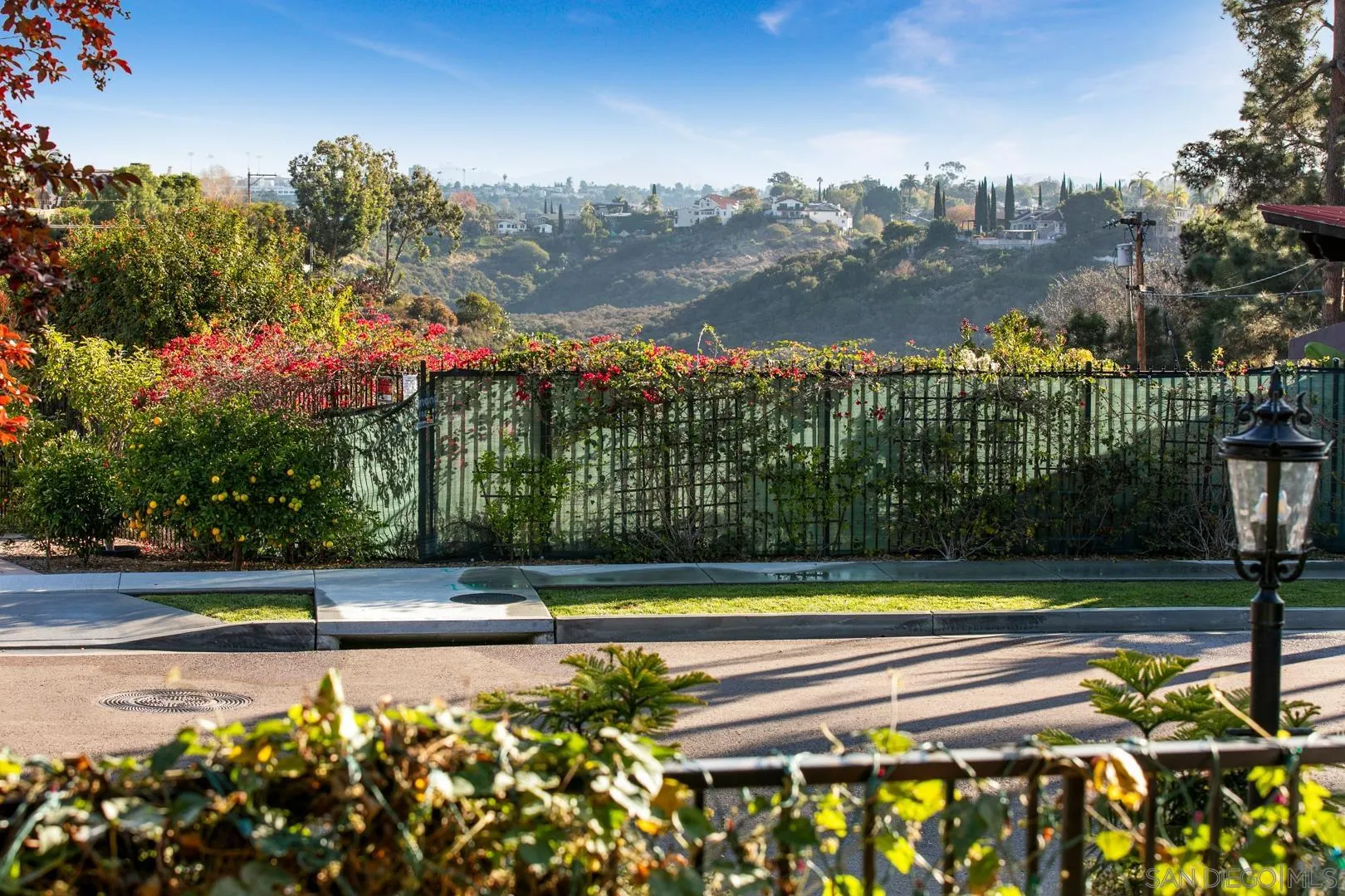 4195 Rochester Road San Diego, CA 92116 - Photo 37 of 39 a view of a swimming pool and a yard