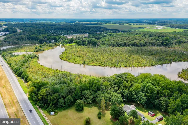 a view of a garden with an ocean