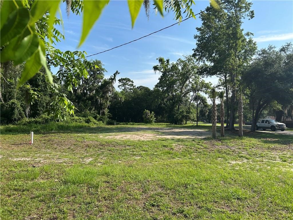 410 Munro Street Darien, GA 31305 - Photo 2 of 3