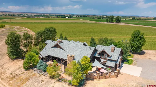 an aerial view of a house with a yard and large trees