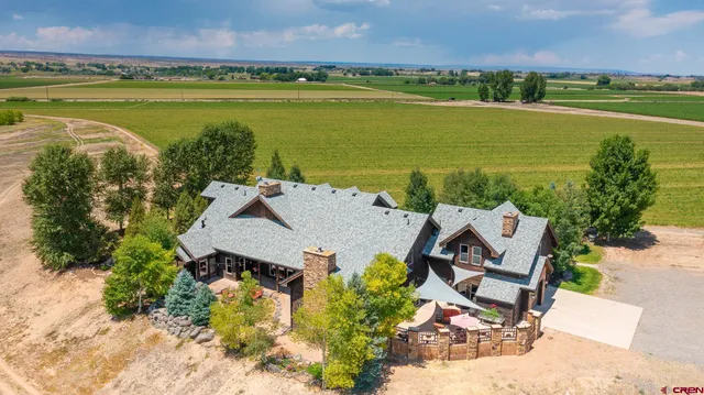 an aerial view of a house with a yard and large trees