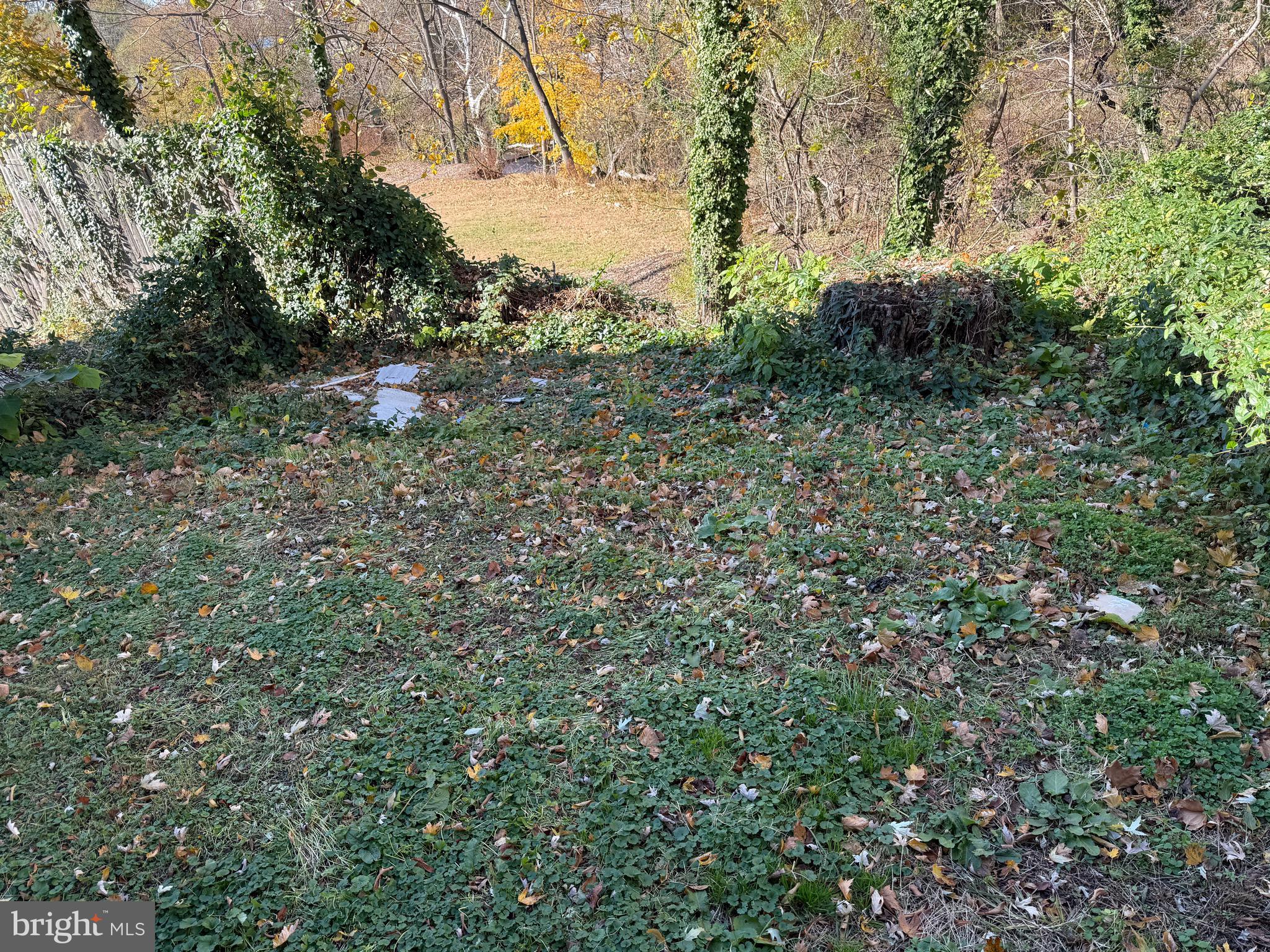 216 South 7th Street Darby, PA 19023 - Photo 29 of 46 a view of a yard with a tree