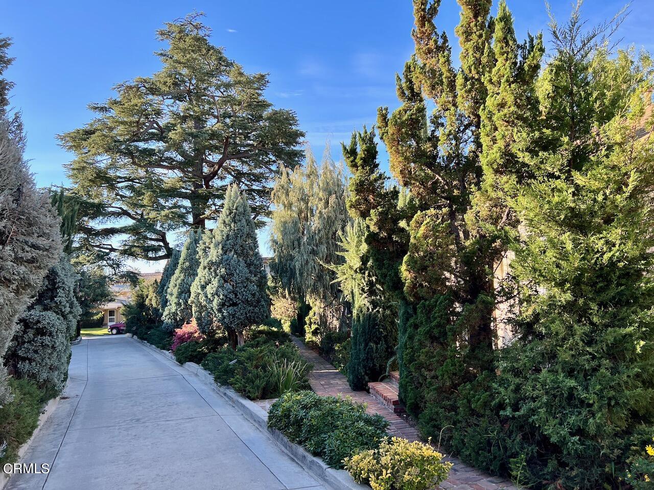 2435 Mohawk Street, Unit 6 Pasadena, CA 91107 - Photo 1 of 5 a view of a garden with plants and trees