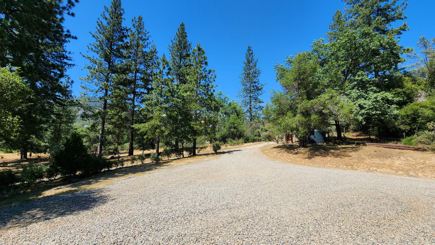 55062 Oak Crest Court Wishon, CA 93669 - Photo 51 of 57 a view of a road with trees in the background