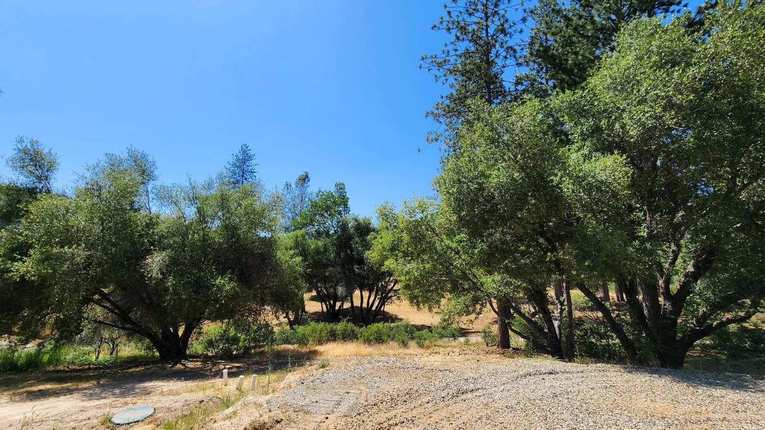 55062 Oak Crest Court Wishon, CA 93669 - Photo 53 of 57 a view of a yard with a tree