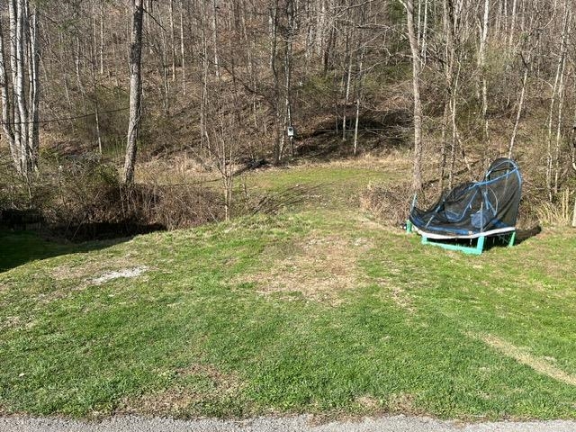 326 Earl Crisp Road Sandy Hook, KY 41171 - Photo 2 of 10