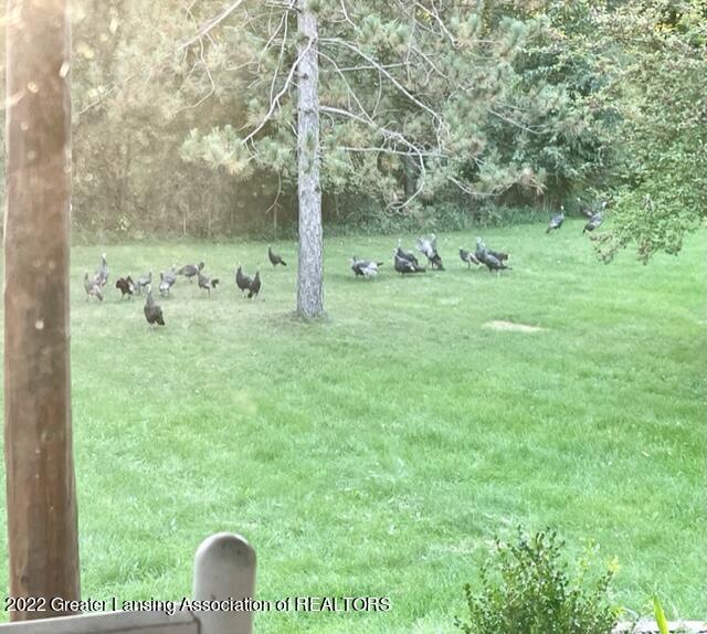 11821 Monroe Road Portland, MI 48875 - Photo 64 of 66 Gobble Gobble