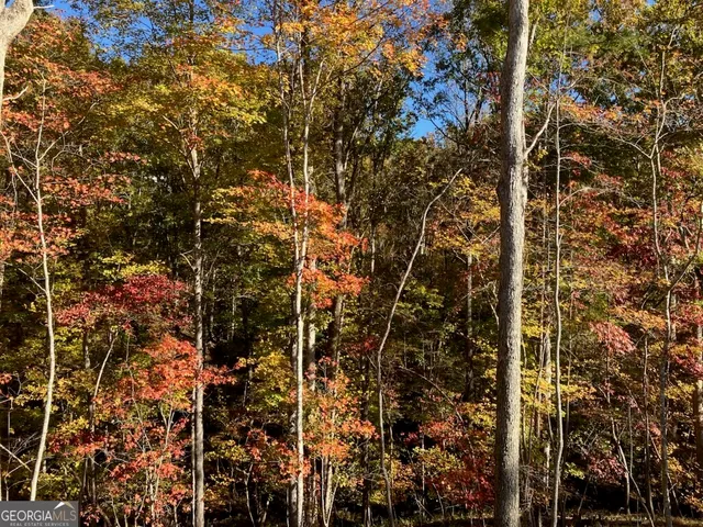 $469,000 | 1415 Calhoun Road, Dahlonega, GA 30533