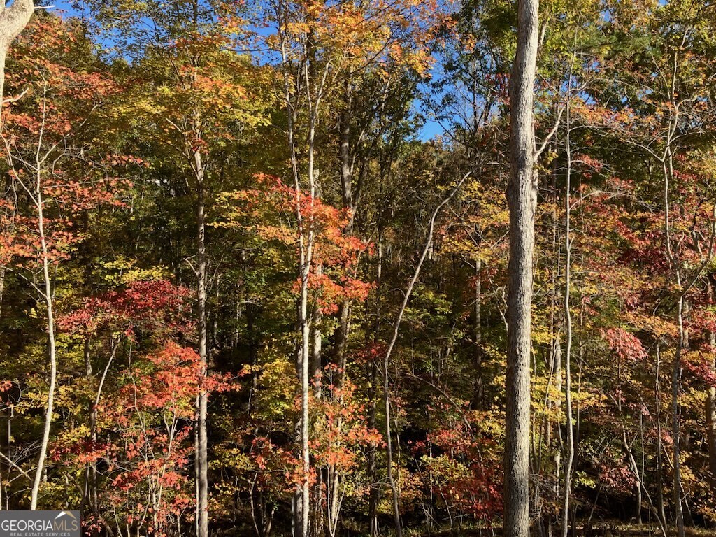 1415 Calhoun Road Dahlonega, GA 30533 - Photo 9 of 35