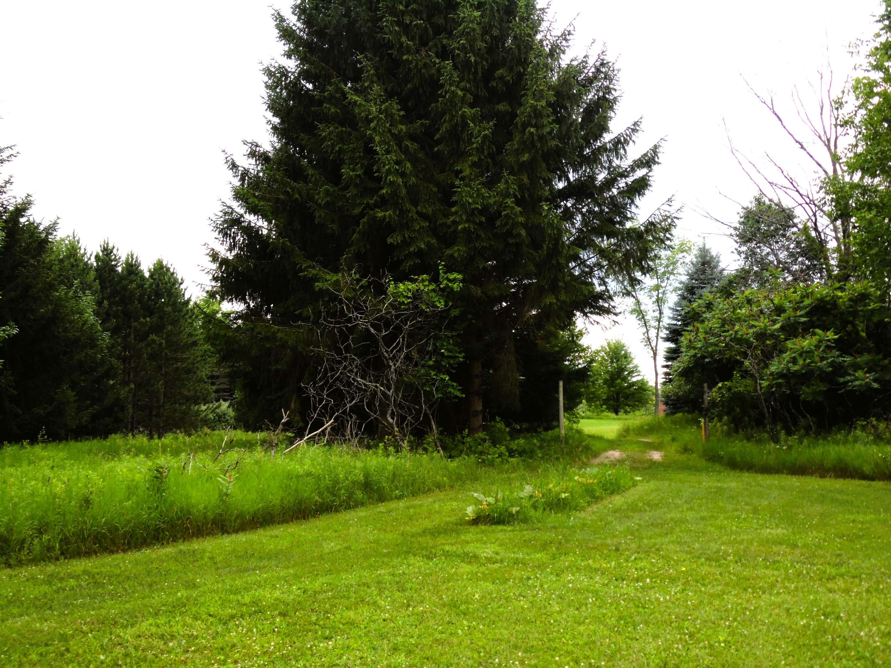 4245 Cassidy Road Gladwin, MI 48624 - Photo 45 of 49