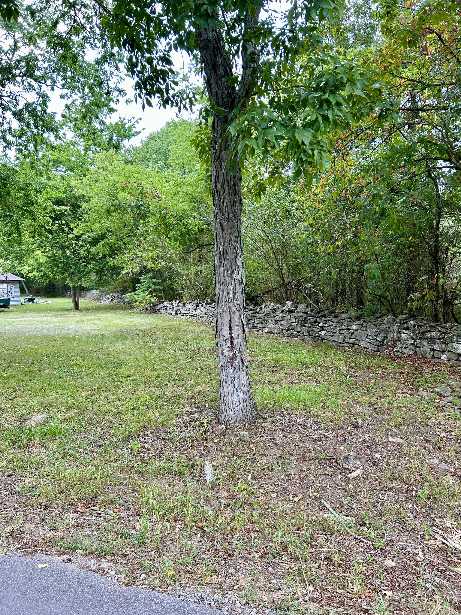 2 Grisham Road Fayetteville, TN 37334 - Photo 10 of 15 Gallery Image 10