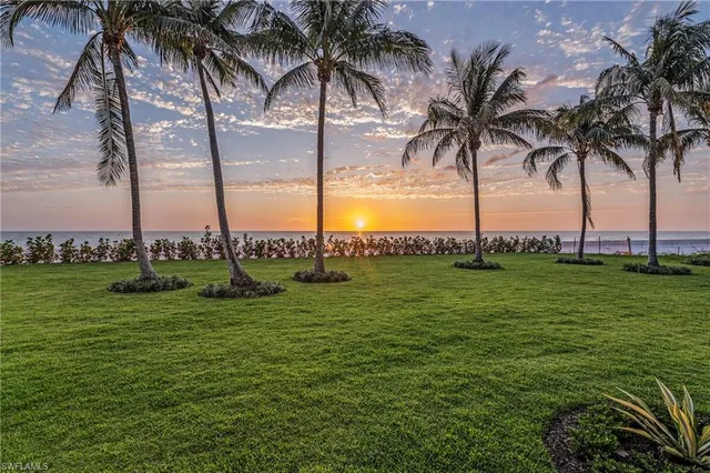 a view of a park and palm trees