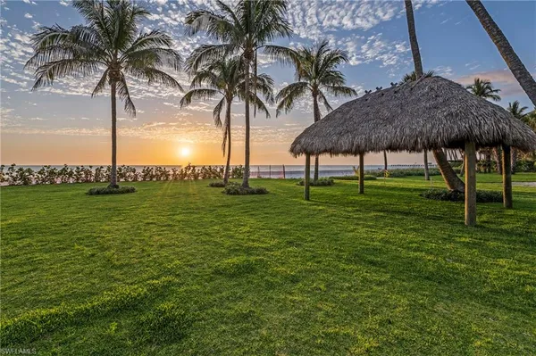a grassy field with lots of palm trees