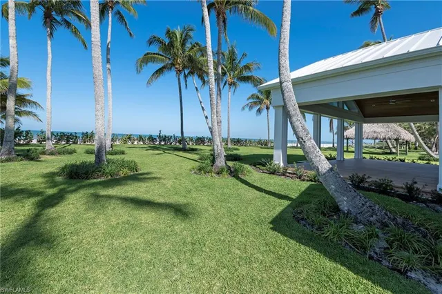 a view of a backyard