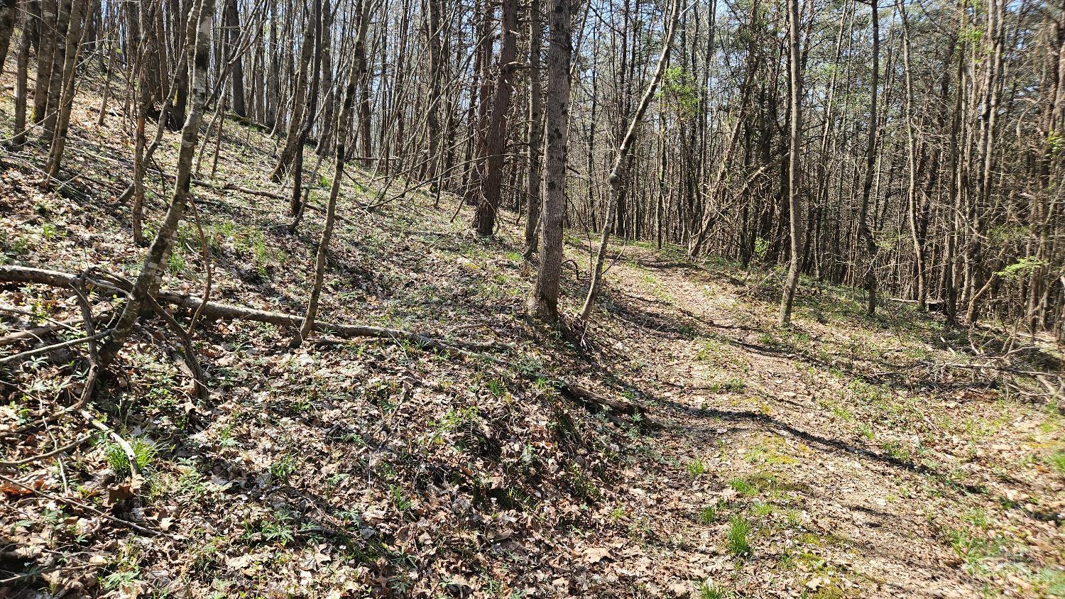 0 Spruce Hollow Road South Webster, OH 45682 - Photo 17 of 54